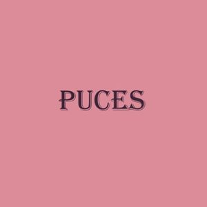 Puces